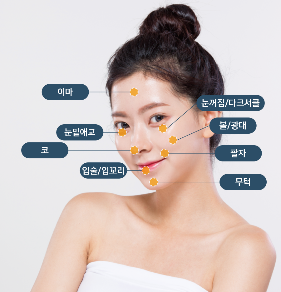 نمذجة ثلاثية الأبعاد لحجم حشو الجلد